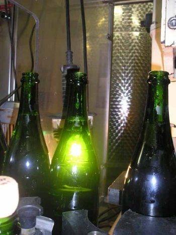 Champagne Faÿ Michel - Les bouteilles sont bouchées et muselées avant d'être remuée