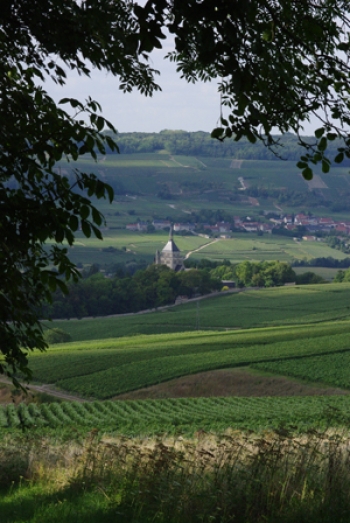 Champagne Faÿ Michel - Vallée de la Marne vu de Dormans